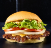 Foto de LANCHES DE CARNE
