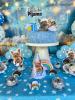 Foto de KITS FESTA PET