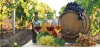 Foto de VINHO/COQUETEL
