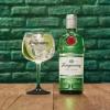 Foto de GIN