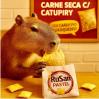 Foto de Pastel Infantil Capivara