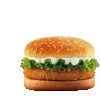Foto de LINHA VEGGIE (VEGETARIANO)