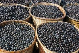 Foto de AÇAI