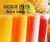 Foto de SUCO DE POLPA (400ML)