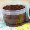 BRIGADEIRO