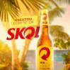 SKOL - 600ML