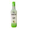 GIN INVICTUS MAÇA VERDE