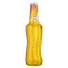 SKOL BEATS TROPICAL LONG NECK 269ML