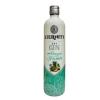 GIN ETERNITY ABACAXI E HORTELA