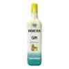 GIN INVICTUS ABACAXI E HORTELA