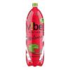 ENERGETICO VIBE 2L MELANCIA