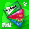TRIDENT (ESCOLHA NA OBS)