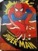 Caderno Univercitario Spider-Man Tilibira