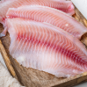 FILE DE TILAPIA 