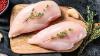 FILE DE FRANGO 