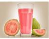 SUCO 500ML GOIABA