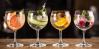 Gin Tônica FRUTADA