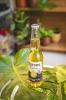 Corona Long