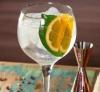 Gin Tônica