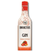  Gin Morango e Pêssego Invictus 900ml