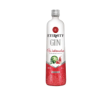  Gin Melancia Eternity 900ml