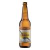 ANTARCTICA ORIGINAL 600ML