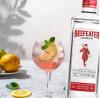 GIN BEEFEATER LONDON DRY DOSE 50ML