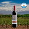 VINHO  VILLA DEL NEVADO CABERNET SALGNON 750ML