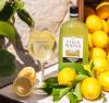 LICOR LIMONCELLO VILLA MASSA 700ML