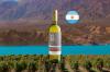VINHO  VILLA DEL NEVADO WHITE BLENDS 750ML