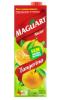 SUCO MAGUARY TANGERINA 1000ML