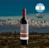 VINHO  VILLA DEL NEVADO RED BLENDS 750ML