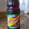 FRUTIX UVA E MAÇÃ 450ML