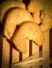CHIPA IF