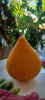 COXINHA FRANGO REQ. IF