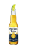 CORONA 330ML