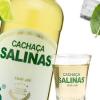 SALINAS DOSE