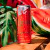 RED BULL MELANCIA 250ML