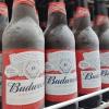 BUDWEISER PROMOÇAO 5UN