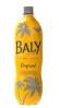 BALLY TROPICAL 2L