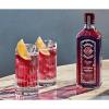 COPAO BOMBAY BRAMBLE 