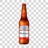 BUDWEISER 600ml 