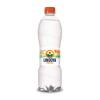 ÁGUA MINERAL LINDOYA VERÃO C/GÁS 510ML