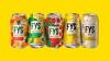 REFRIGERANTE FLY 350ML 