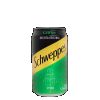 REFRIGERANTE SCHWEPPES CITROS 350ml