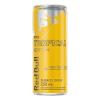 RED BULL TROPICAL 25O ML 