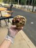 Cookie Kinder 
