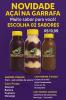 AÇAÍ NA GARRAFA 500mL
