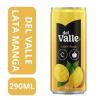 DEL VALE MANGA 290ml