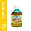 REFRIGERANTE MINEIRO GUARANA 250 ML